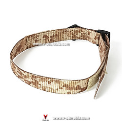 1/6 Rigger Belt (AOR)
