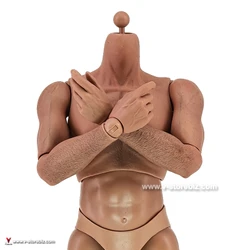 Soldier Story SS094 Marine Raiders MSOT S3.0 Body
