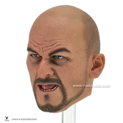 DAMTOYS 78015 Spetsnaz Alpha Head Sculpt