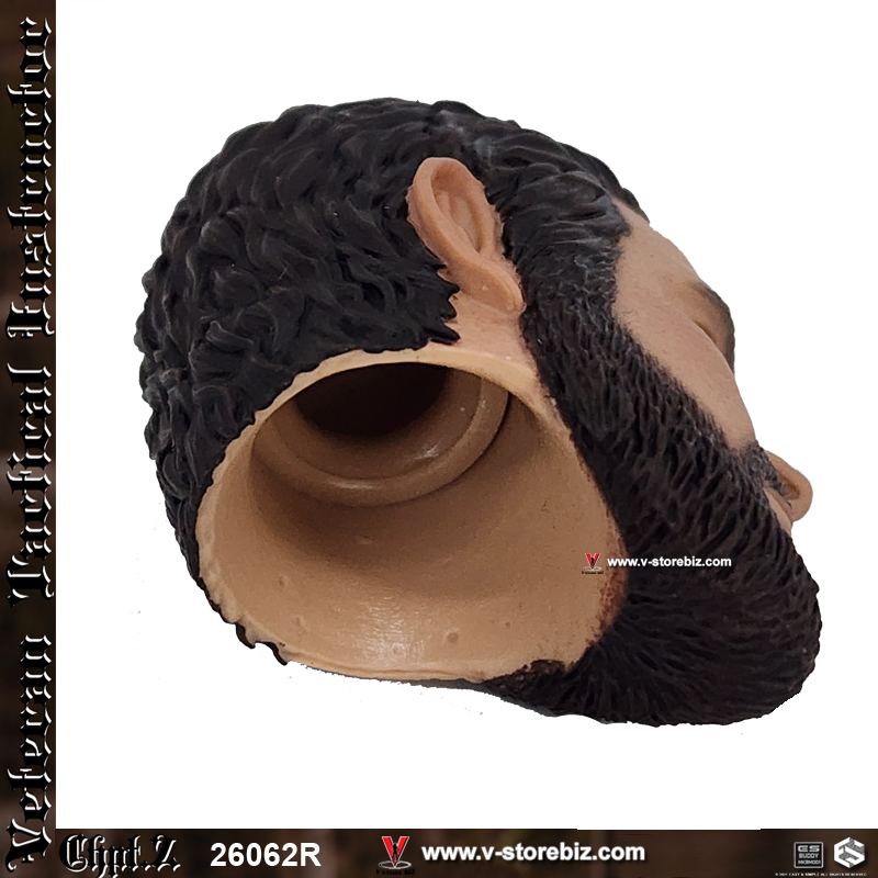 E&S 26062R Veteran Instructor Chapter II Headsculpt