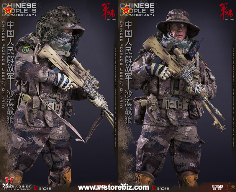 Flagset FS73025 Chinese PLA Desert Wolf