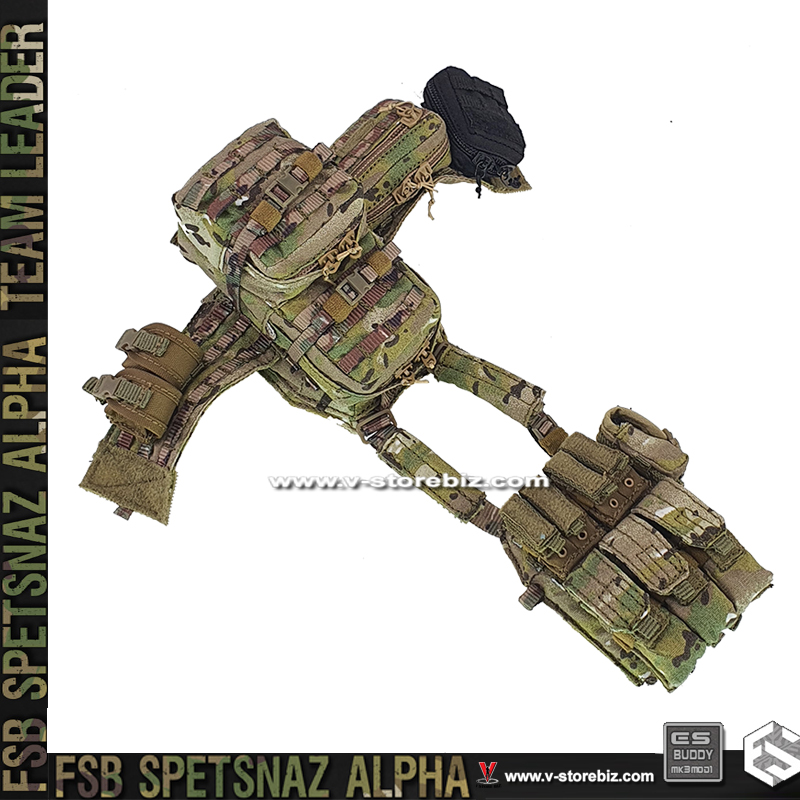 E&S 26071R FSB ALPHA Team Leader DCS Plate Carrier & Pouches