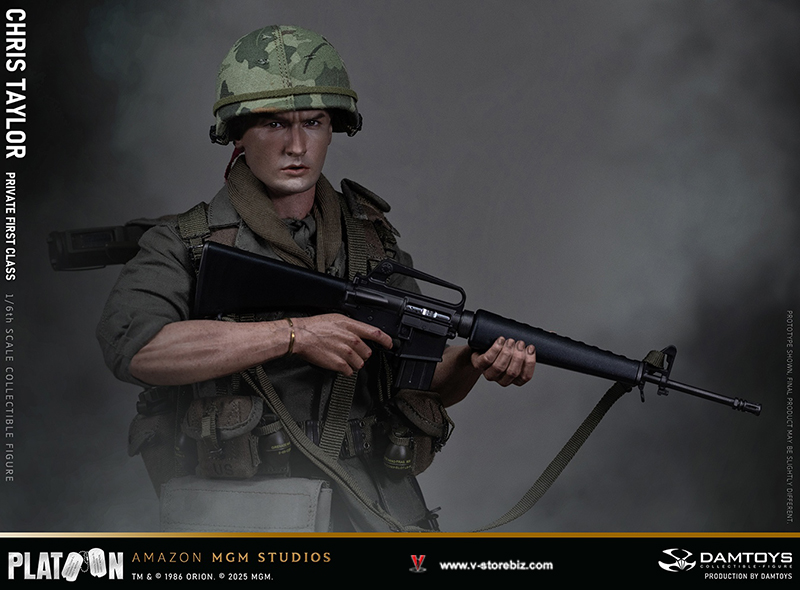 DAMTOYS DMS046 Platoon Chris Taylor