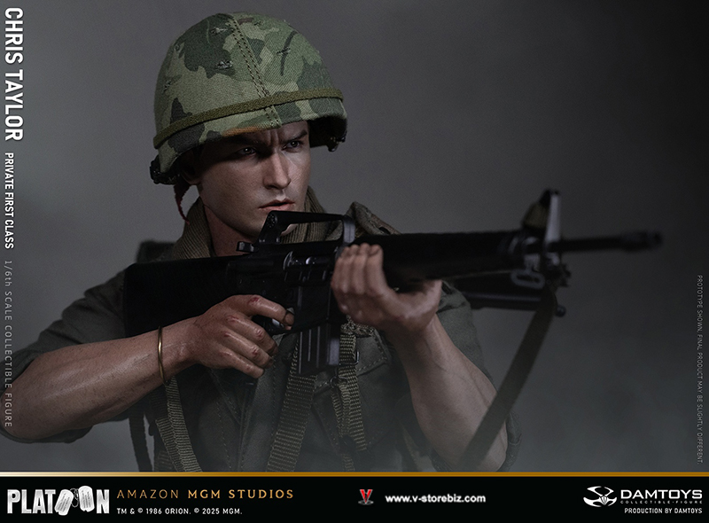 DAMTOYS DMS046 Platoon Chris Taylor