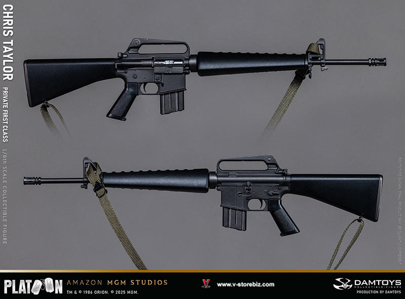 DAMTOYS DMS046 Platoon Chris Taylor