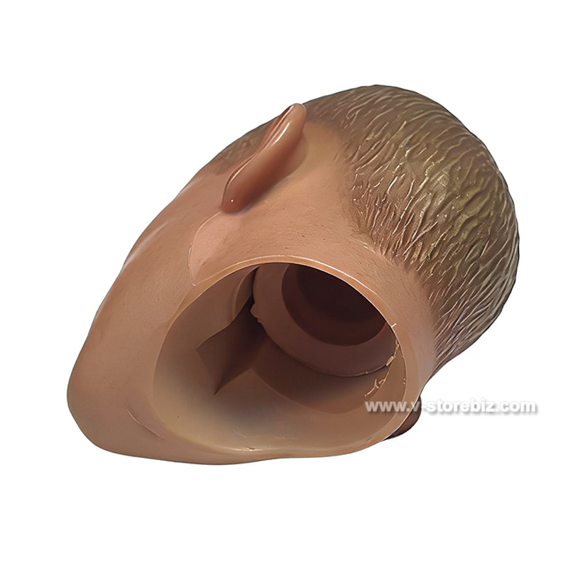 Hot Toys True-Type M. Scofield Headsculpt