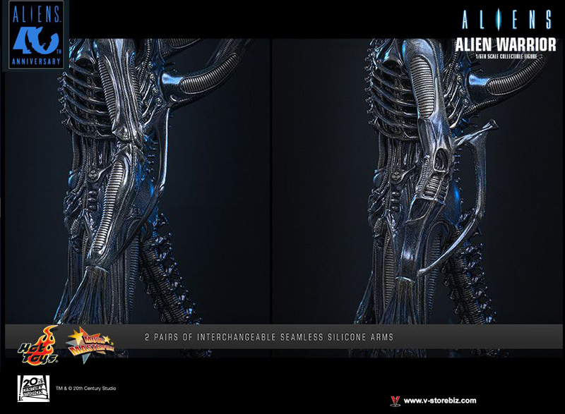 Hot Toys MMS898 Aliens - Alien Warrior