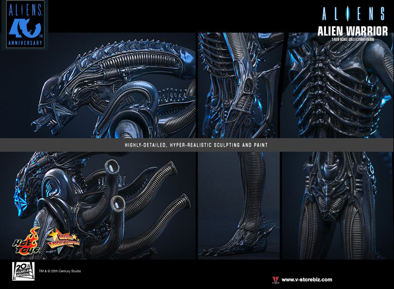 Hot Toys MMS898 Aliens - Alien Warrior
