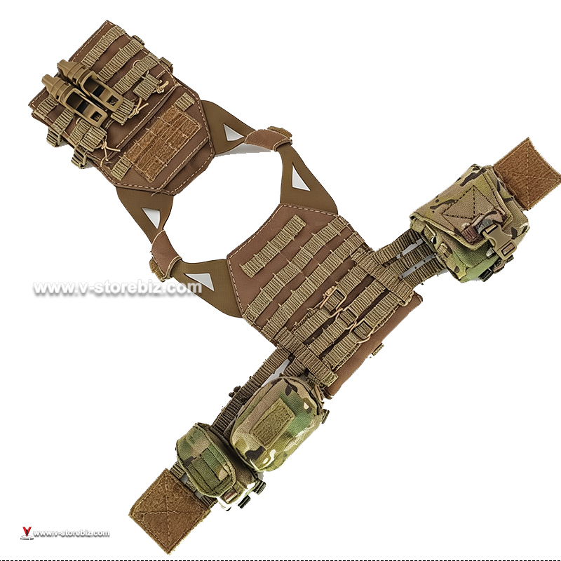 E&S 26075A SSO Plate Carrier & Pouches