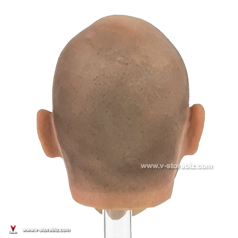 DAMTOYS 78015 Spetsnaz Alpha Head Sculpt