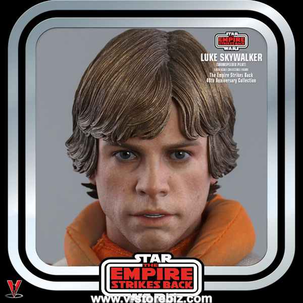 Hot Toys MMS585 Star Wars : The Empire Strikes Back Luke Skywalker (Snowspeeder Pilot)