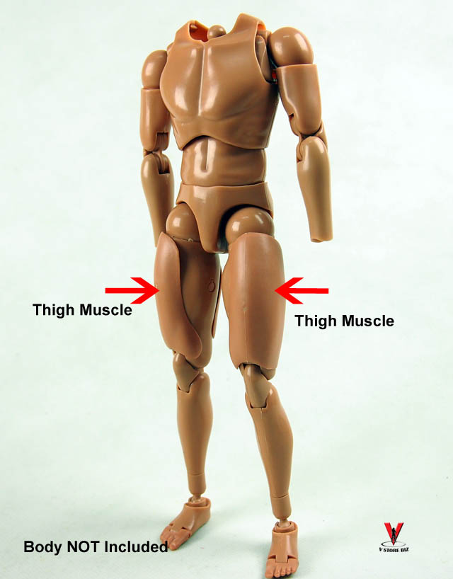 1/6 Scale Thigh Muscle