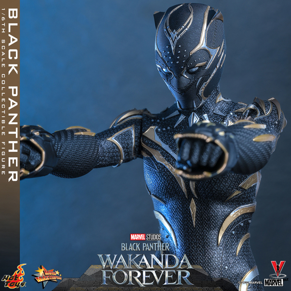 Preorder ! Hot toys MMS675 Black Panther Wakanda Forever : Black Panth –  Pop Collectibles