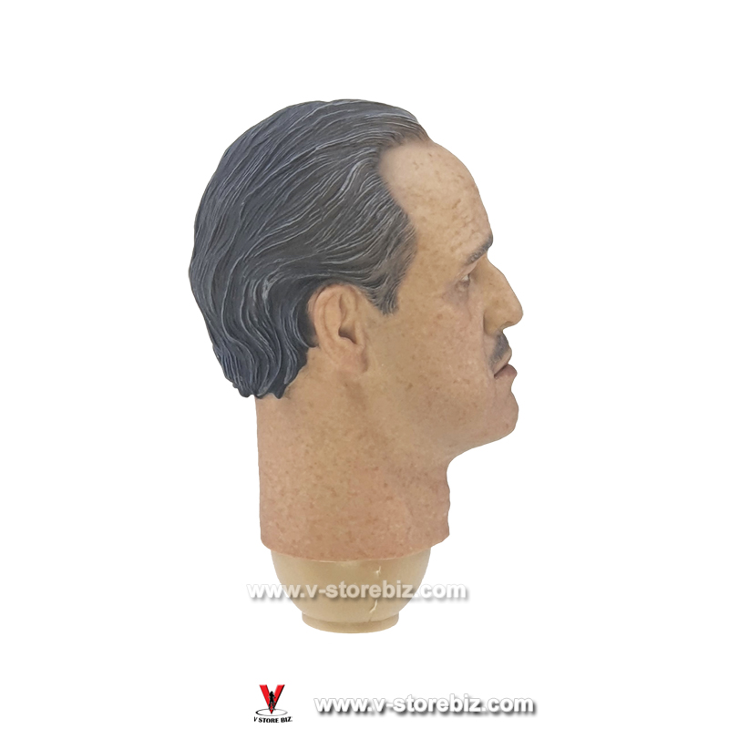 DAMTOYS DMS033 The Godfather Golden Years Headsculpt