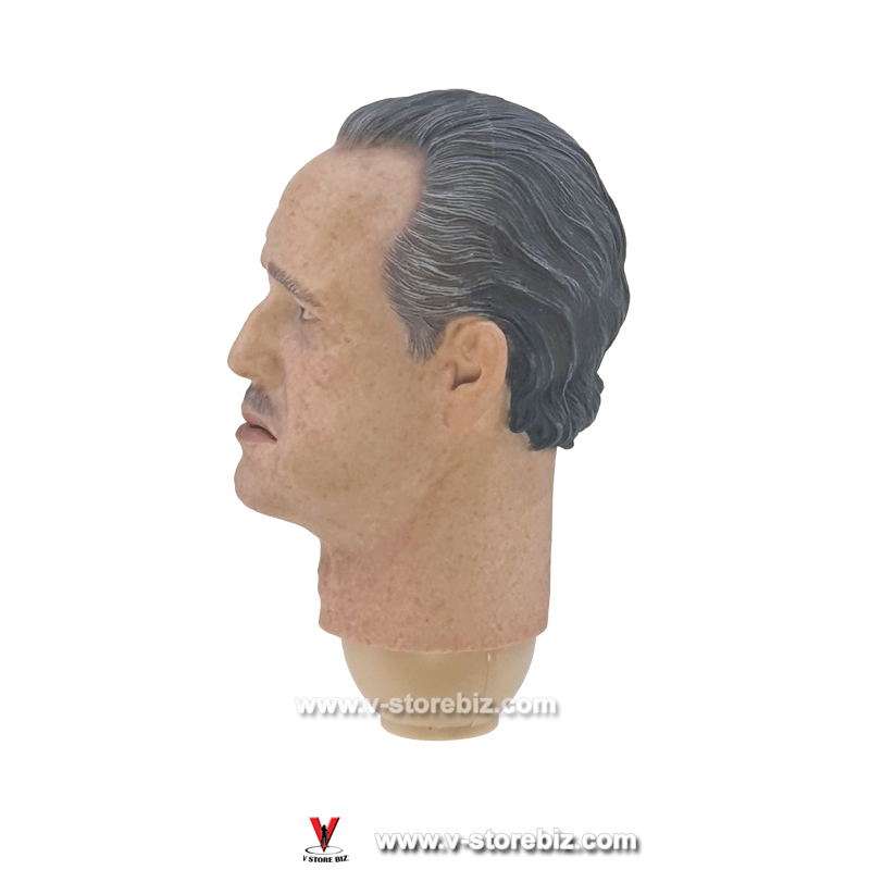 DAMTOYS DMS033 The Godfather Golden Years Headsculpt