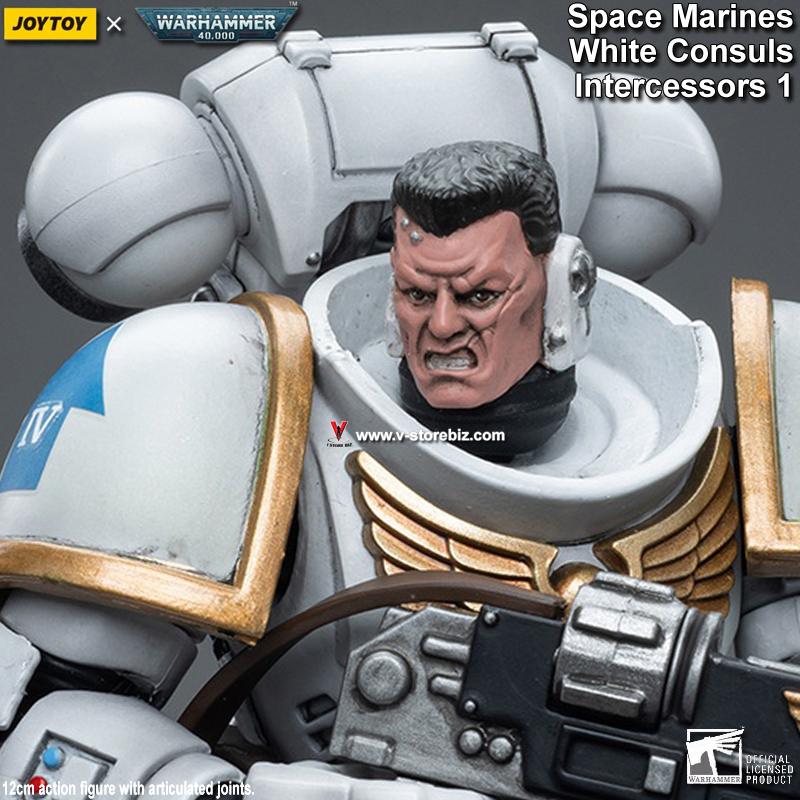 JOYTOY Warhammer 40K Space Marines White Consuls: Intercessors 1