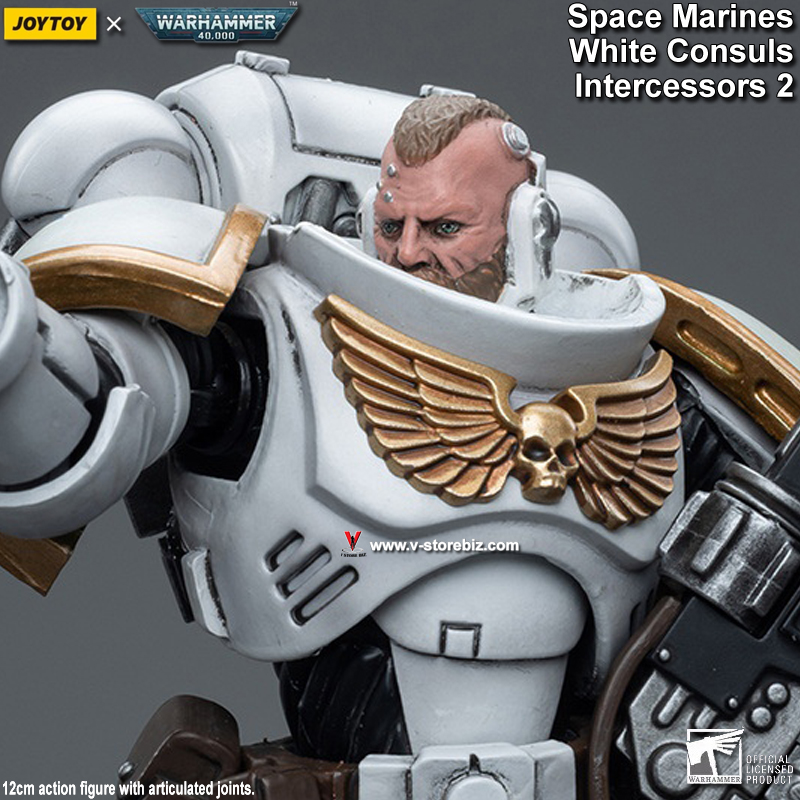 JOYTOY Warhammer 40K Space Marines White Consuls: Intercessors 2