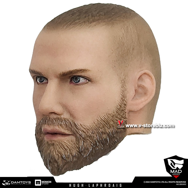 DAMTOYS EBS002  Agent HUGH LAPHROAIG Head Sculpt