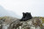 ALFA - Bregne 2.0 APS GTX Hiking Boot