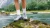 ALFA - WOMEN'S FOSEN GTX DURABLE, LIGHTWEIGHT HIKING SHOE