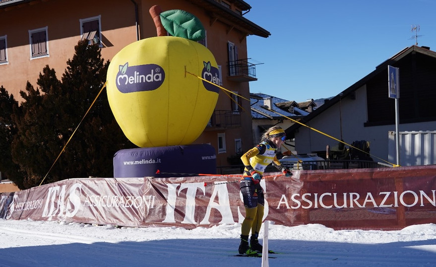​Discovering the Trellised Slopes of South Tyrol (and tasting their fruits in winter!)