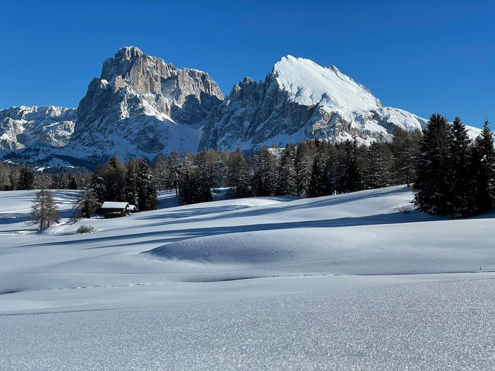 SkiPost Archive: Dealing with Bad Results 