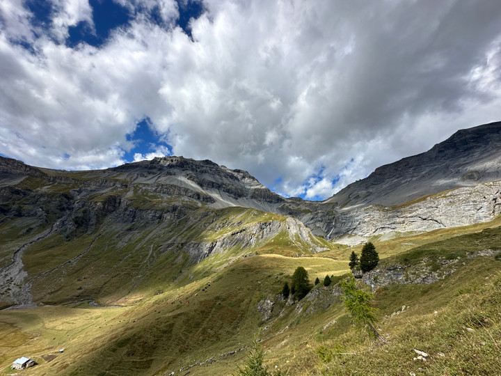 We Make Plans and the Universe Laughs 