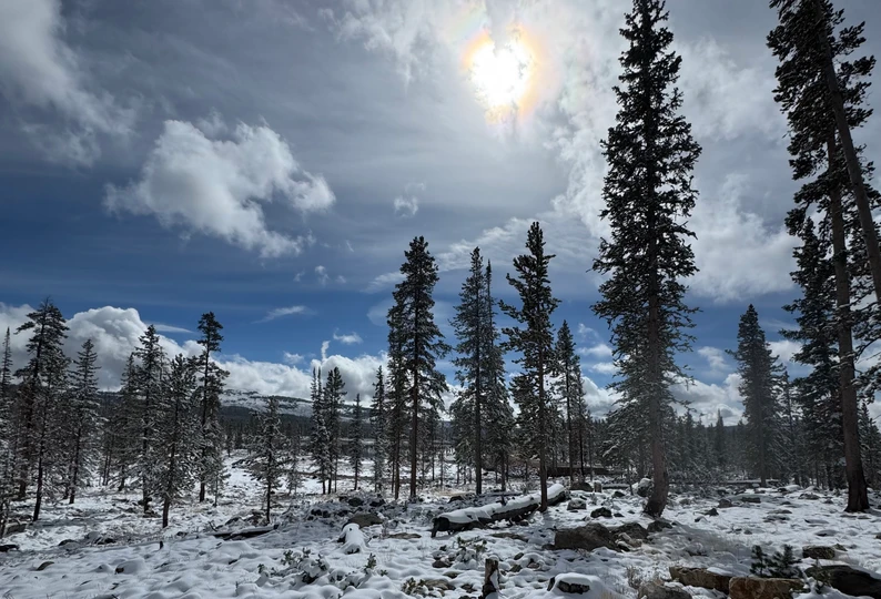 Are Altitude camps good for sprint training?