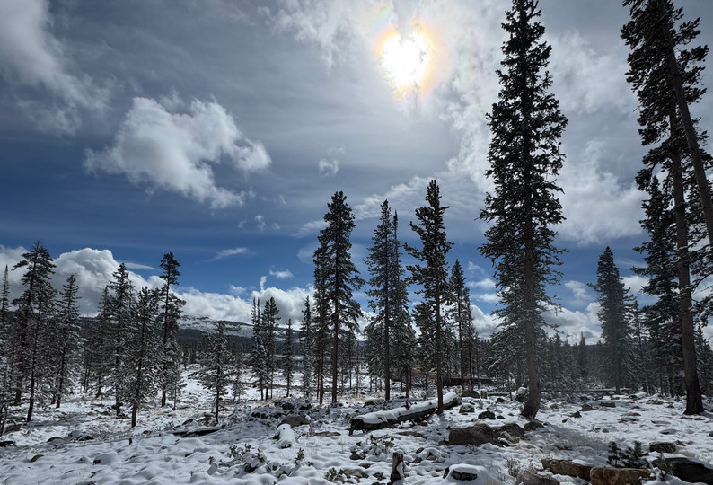 Are Altitude camps good for sprint training?