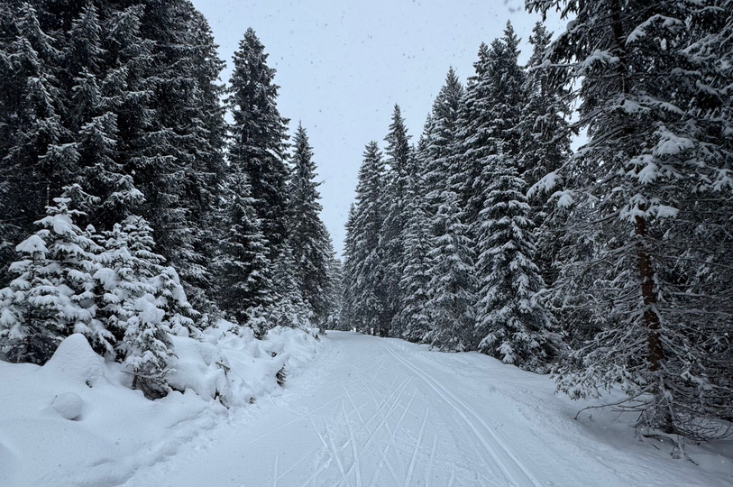 Recovery Camp in Seefeld, Austria