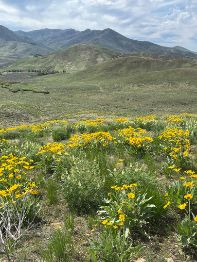 Getting Back Into the Groove