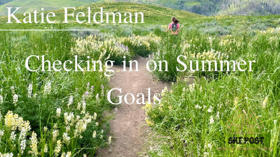 Checking in on Summer Goals