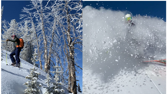  Diversifying Spring Training