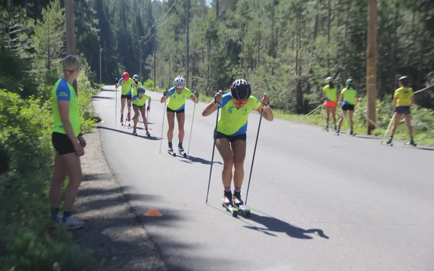 Annual NNF Summer Auction Coming up Monday, July 8th-15th