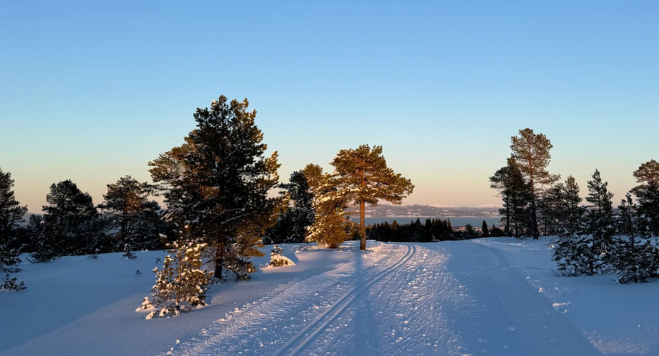 Period 4 and End of Season Recap