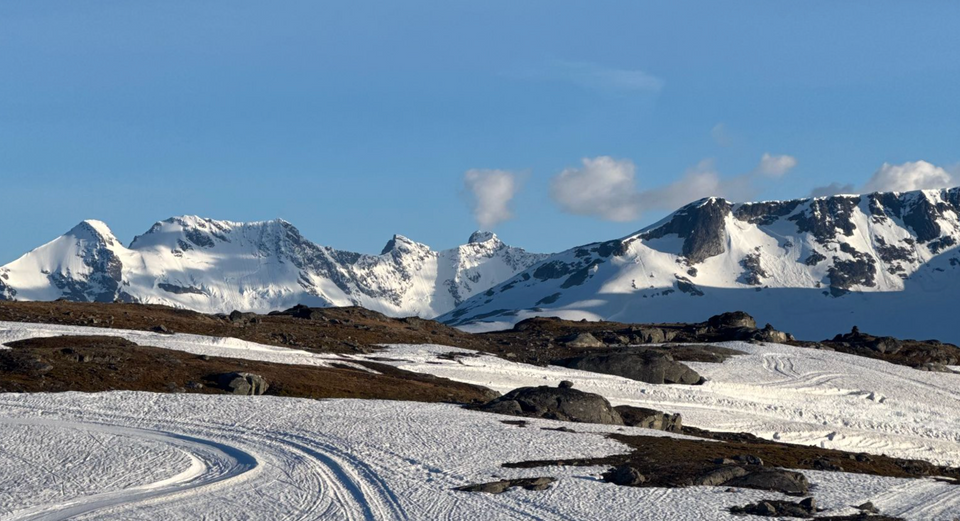 Pushing the Limits on Summer Snow