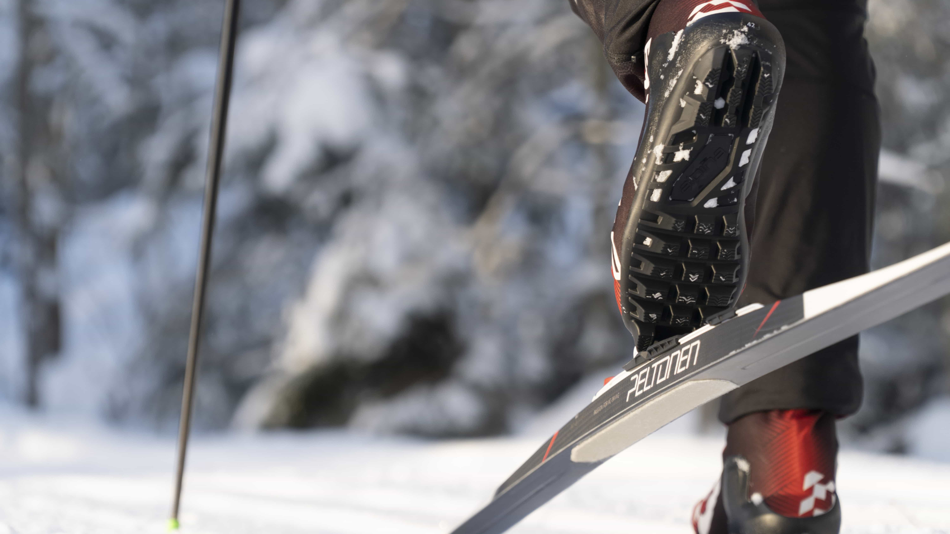The Skinny on Skin Skis Enjoy Winter