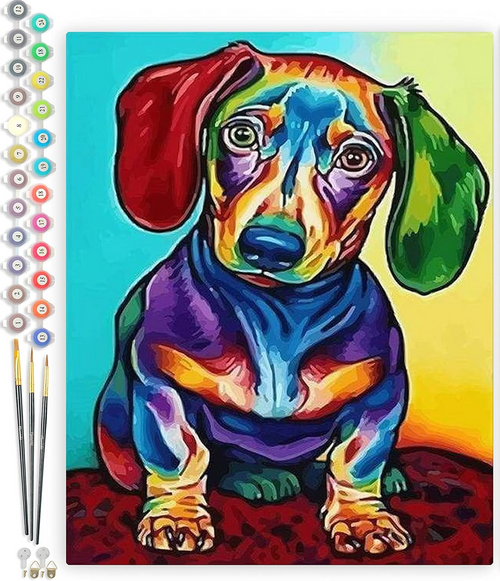 Paint by Numbers for Adults Dachsund Dog Color Red and Green Ears 16"x20" 16z