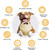 Multi-functional Dog Enrichment Toy Design Theme: Ice Cream Frozen Treat 15z