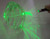 Black Beast® Pro Grade GREEN Beam Laser Pointer USA LEGAL 4.99mw w/CASE 18z