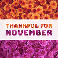 Shine Bright with Topaz this November Shine Bright with Topaz this November
