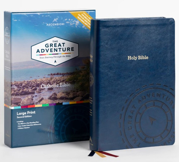 The Great Adventure Bible Large Print, 2nd Edition