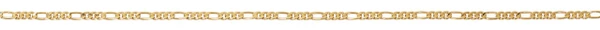 24" Gold Tone Figaro Chain P-FG24C
