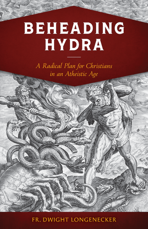 Beheading Hydra - A Radical Plan for Christians in an Atheistic Age