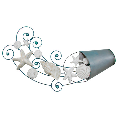 Coastal Wall Art Seashell Collection