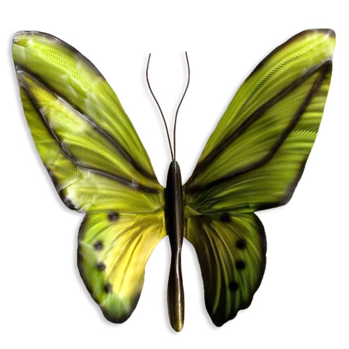 Aussie Birdwing Butterfly Large MM065