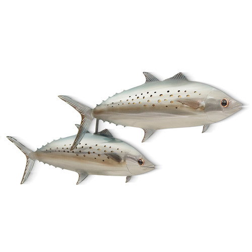 Spanish Mackerel Pair - MM230