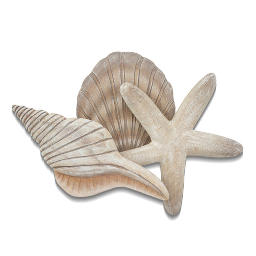 Shell Collection 2 CW052