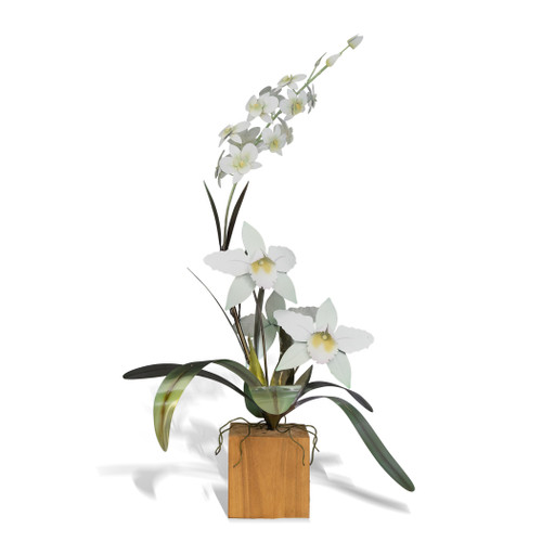 White Cattleya Dendrobium Orchid on Teak Base MM920W White Cattleya Dendrobium Orchid on Teak Base MM920W