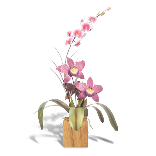 Cattleya Dendrobium Orchid on Teak Base MM920 Cattleya Dendrobium Orchid on Teak Base MM920